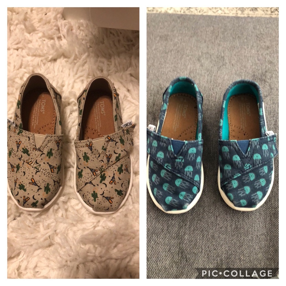 TOMS- Toddler Boy size 6